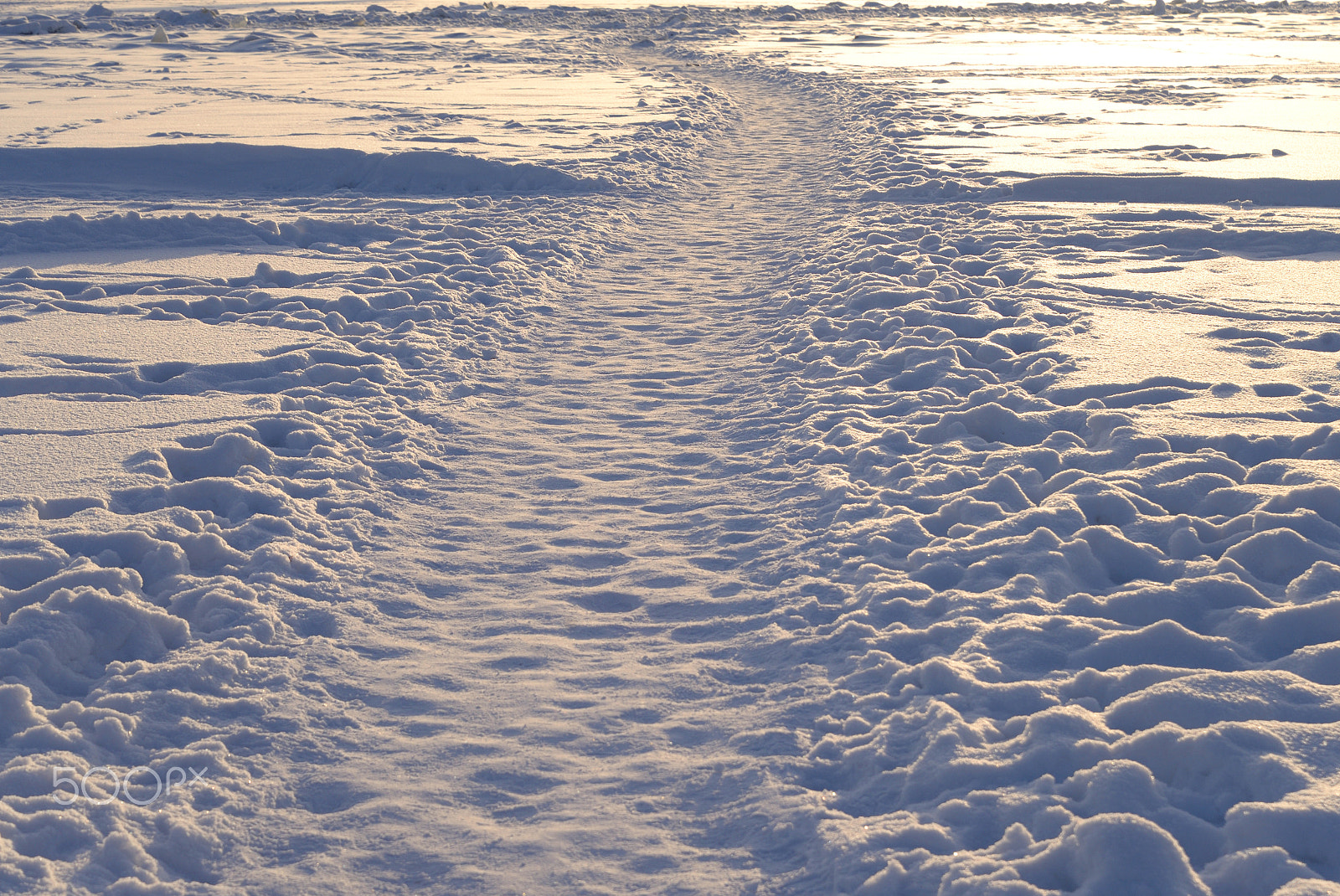 Nikon D610 sample photo. Footpath in the snow. photography