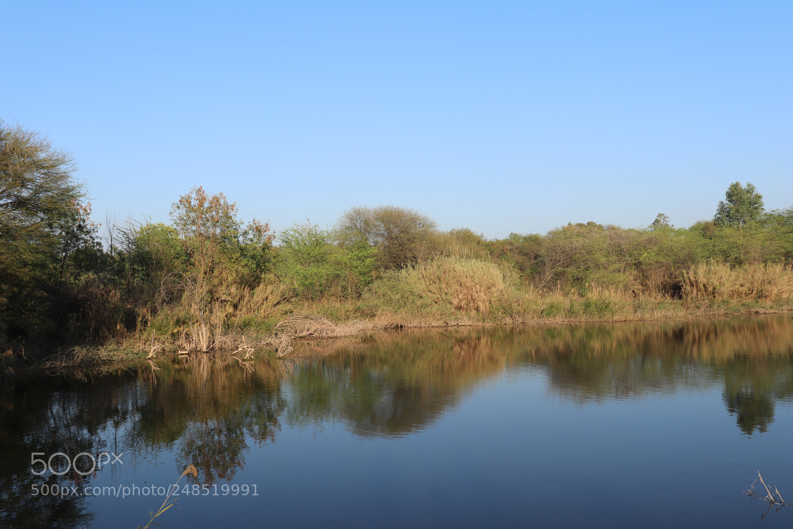 Canon EOS 200D (EOS Rebel SL2 / EOS Kiss X9) sample photo. Reflections from another angle photography