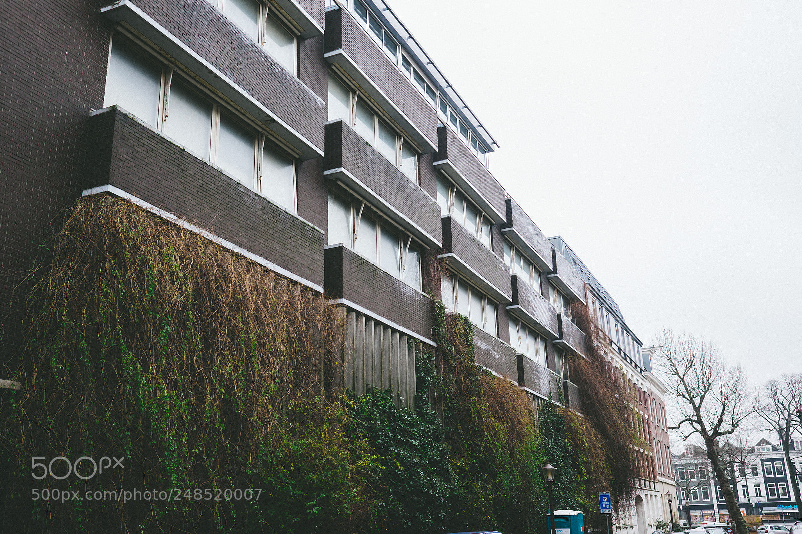 Fujifilm X-T1 sample photo. Untitled photography