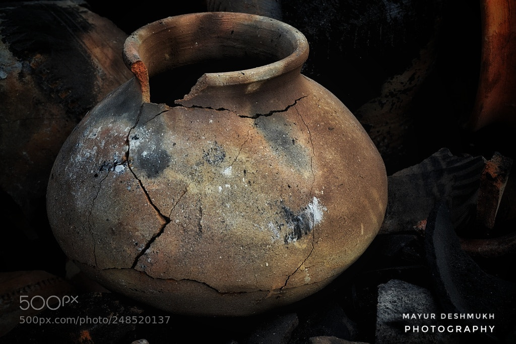 Nikon D5500 sample photo. Untitled photography
