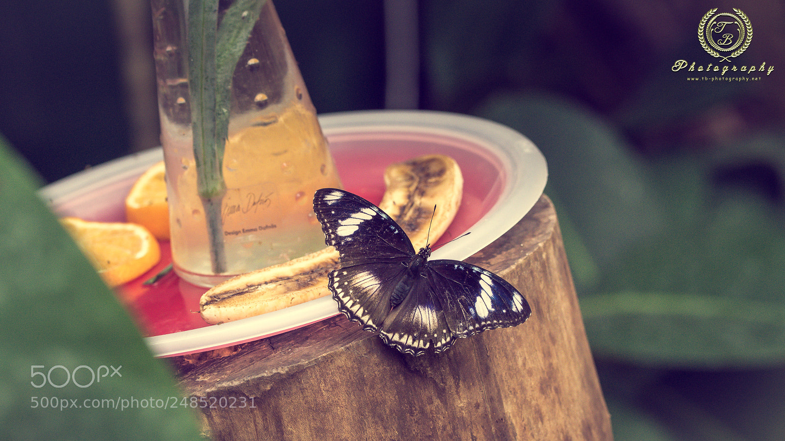 Nikon D7200 sample photo. Insekten breakfast photography