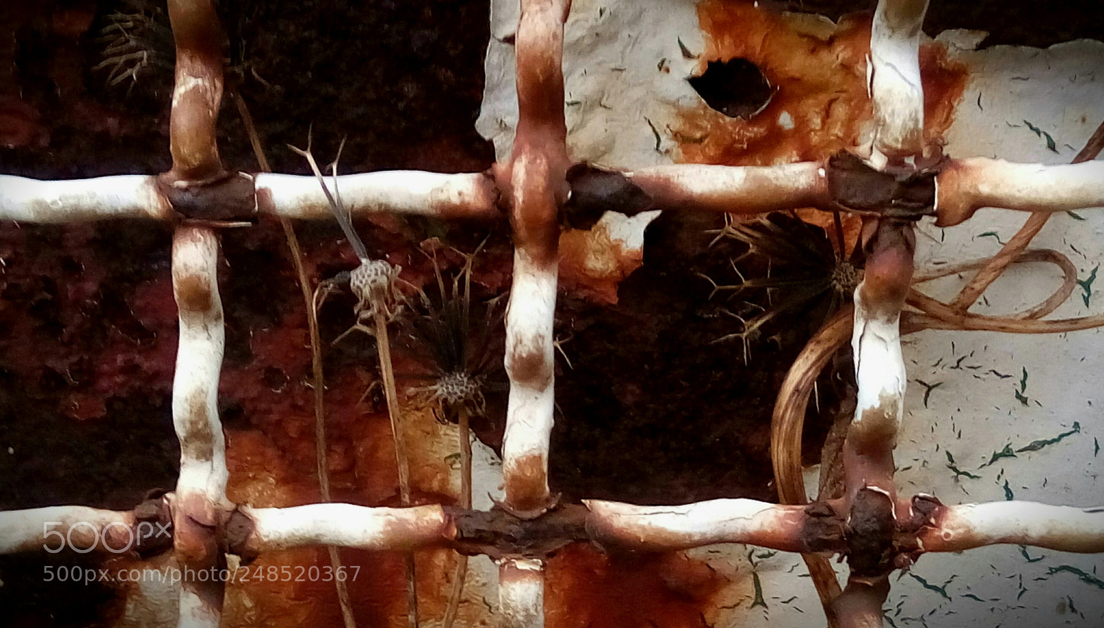 HTC D728X sample photo. Untitled photography