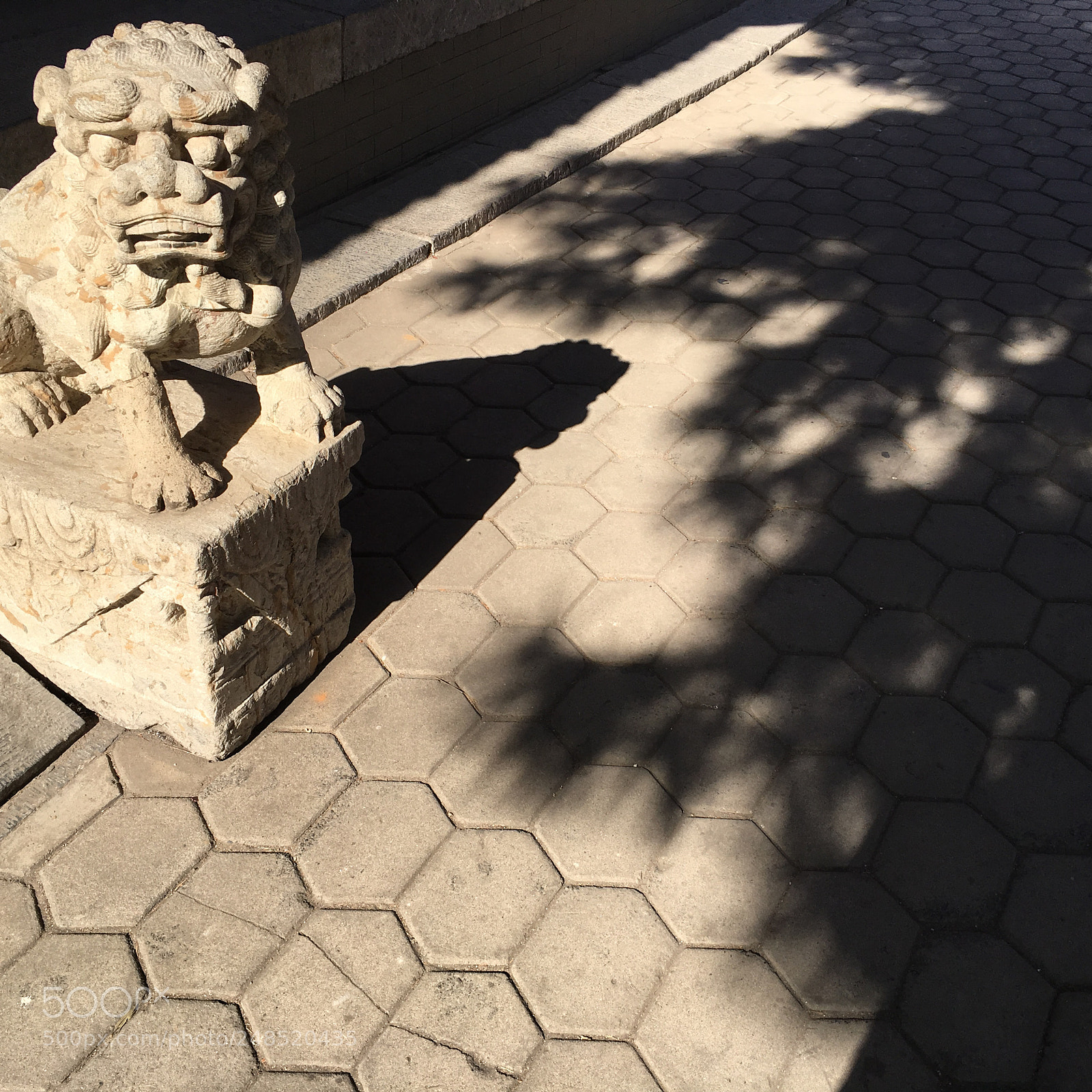 Apple iPhone 6s sample photo. Untitled photography
