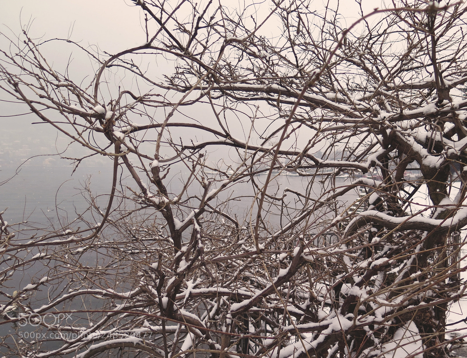 Canon PowerShot G16 sample photo. Lario xvi photography