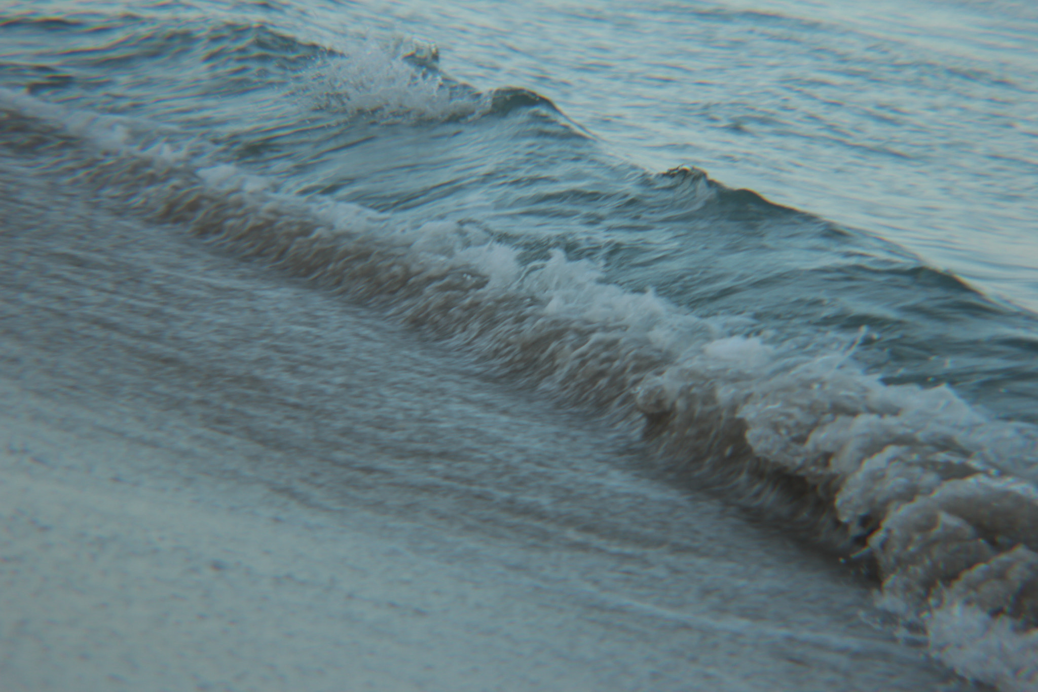 Canon EF 28-80mm f/3.5-5.6 sample photo. Img photography