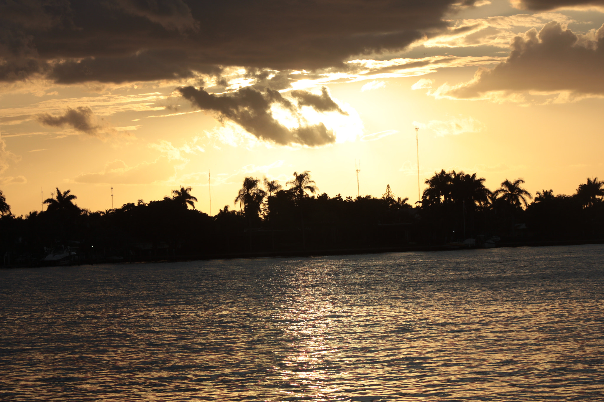 Canon EF 75-300mm f/4-5.6 sample photo. Img photography
