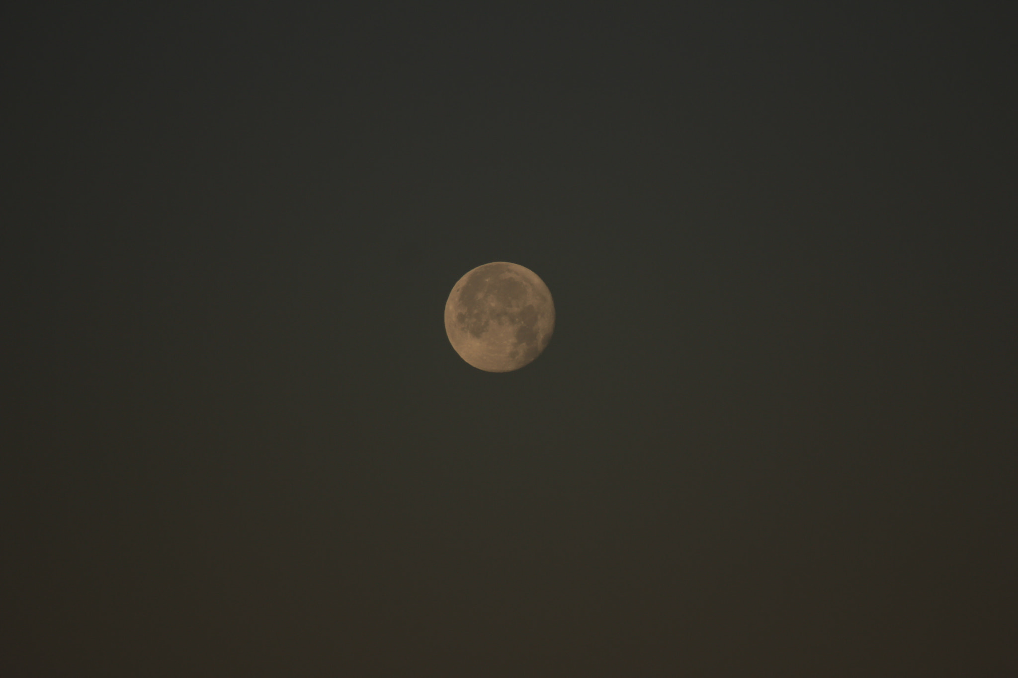 Canon EF 75-300mm f/4-5.6 sample photo. Img photography
