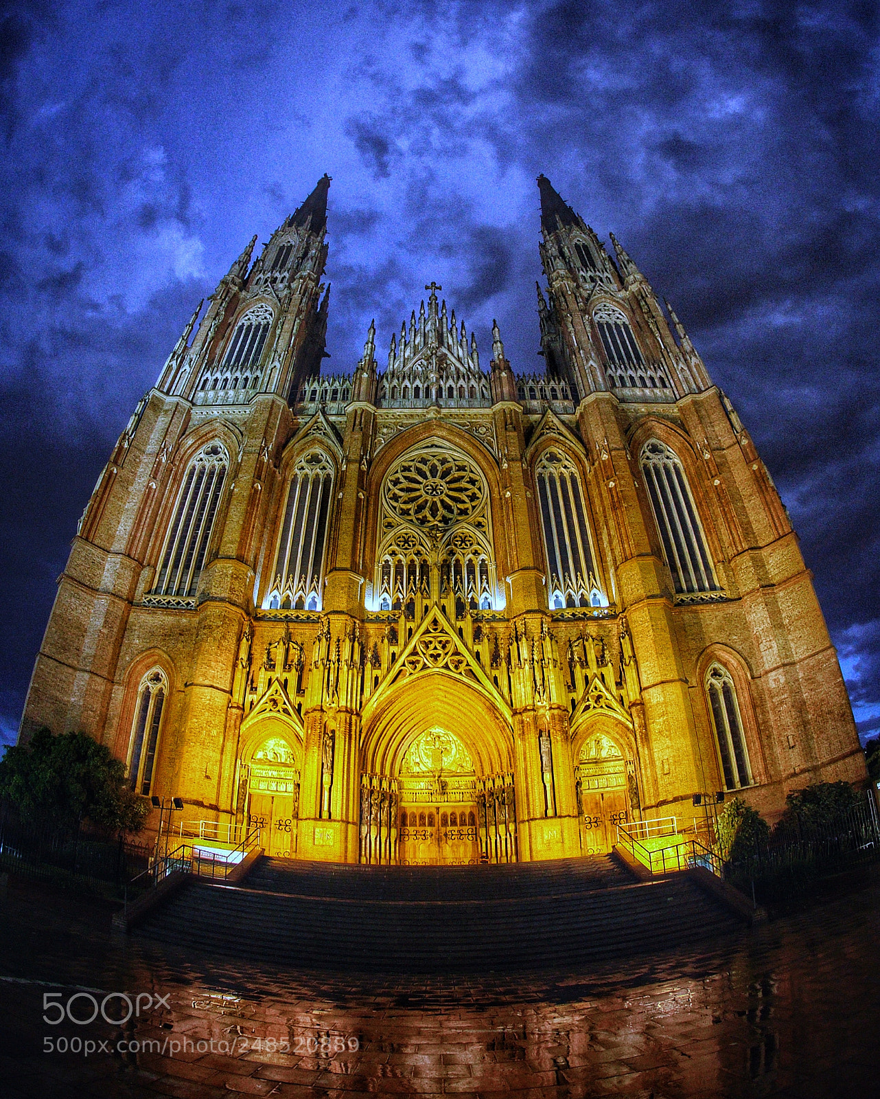 Sony ILCA-77M2 sample photo. Bas lica de la photography