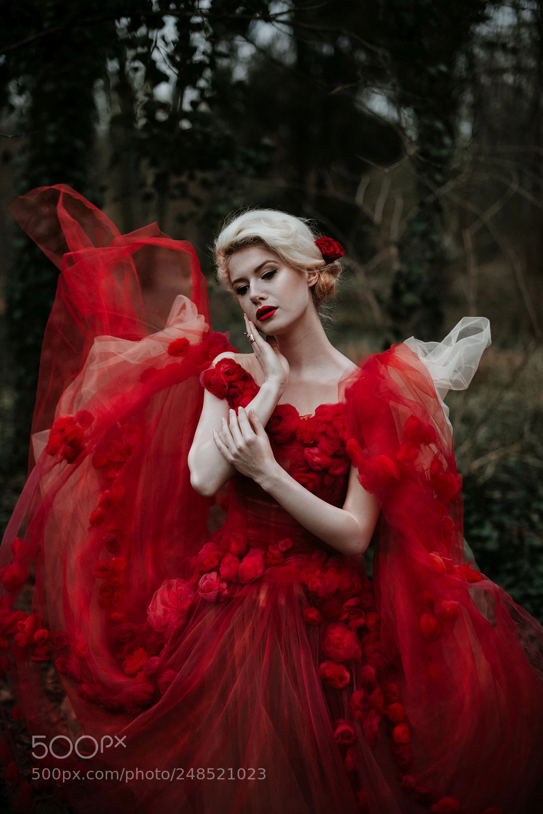 Nikon D610 sample photo. Red beauty photography
