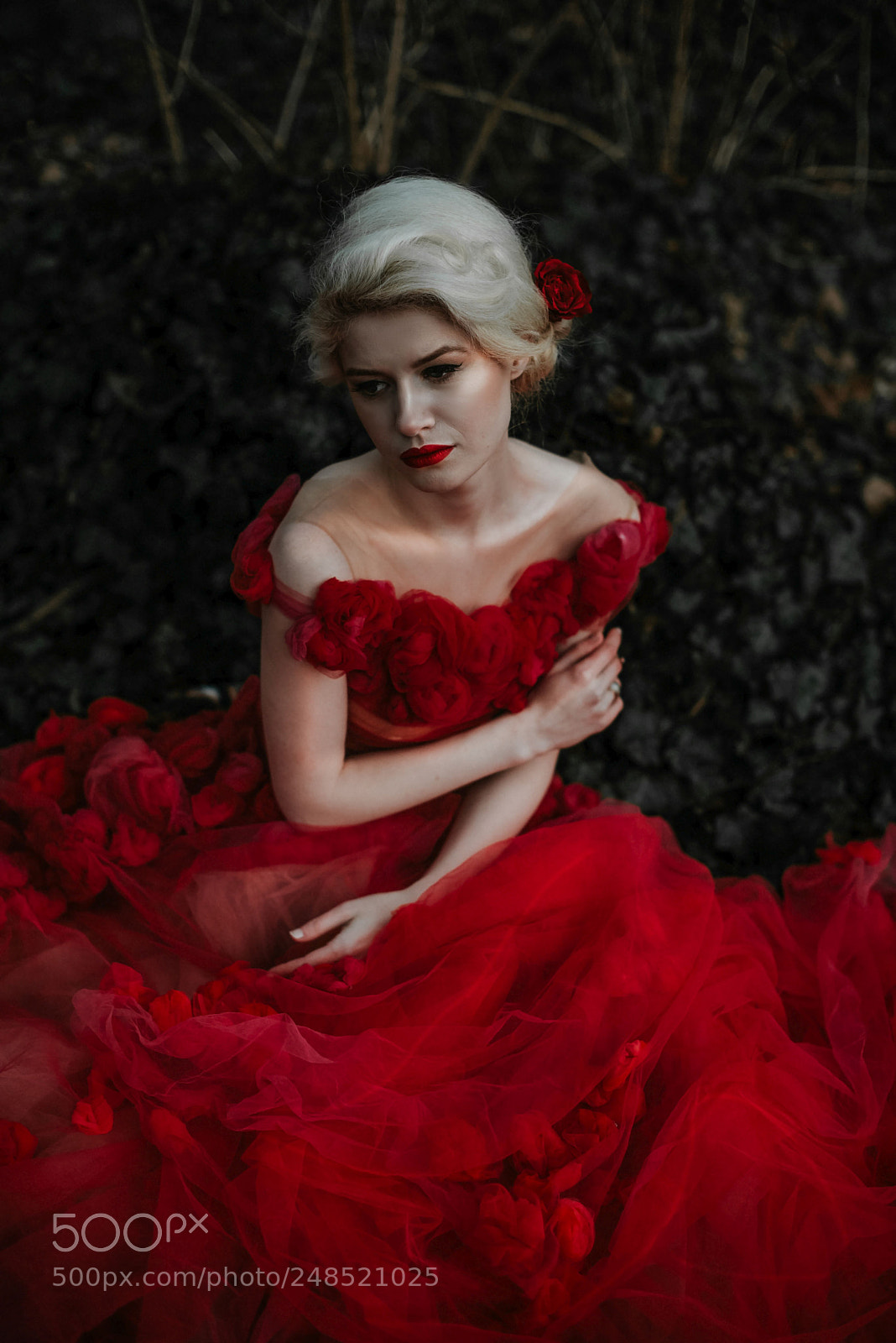 Nikon D610 sample photo. Red beauty photography