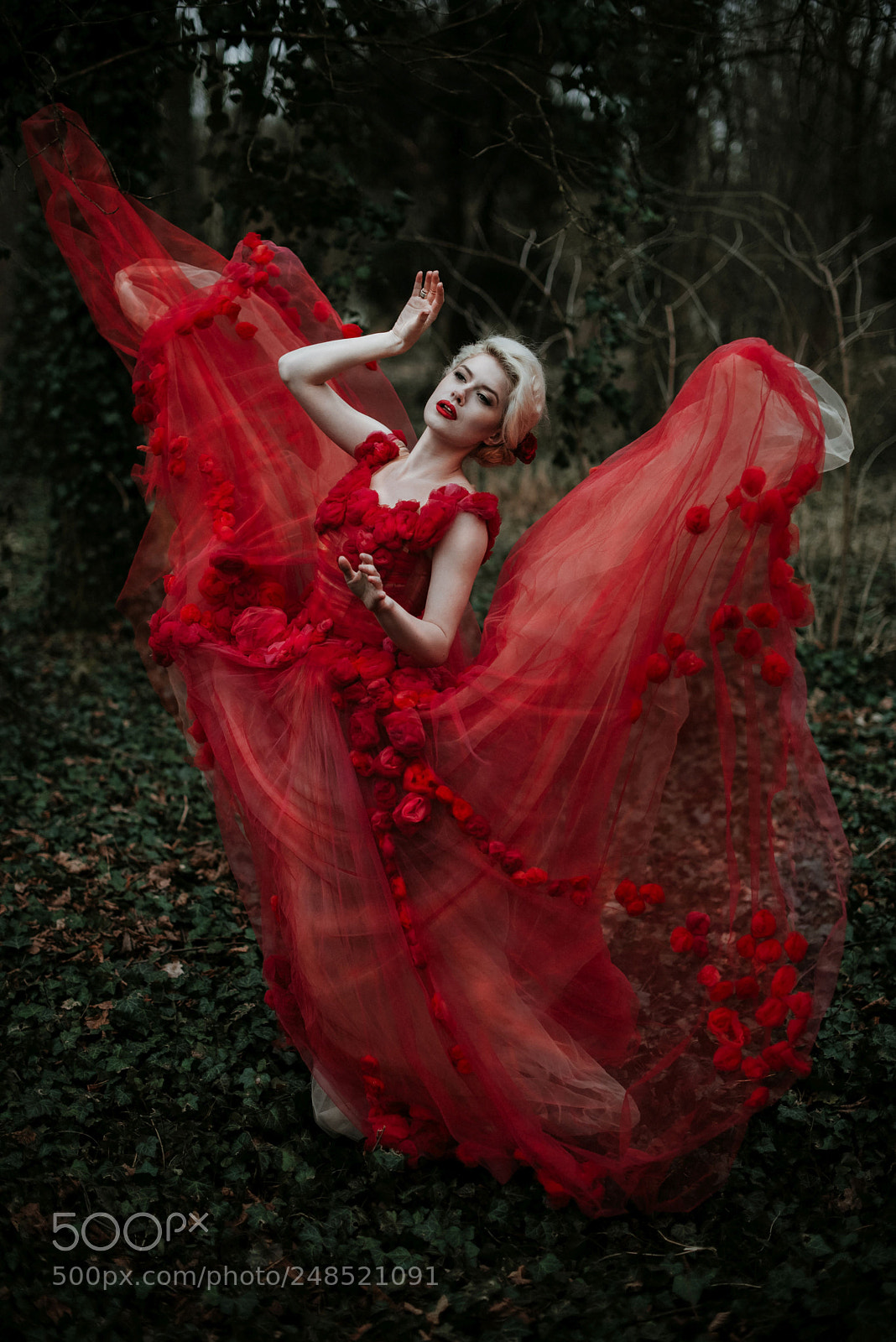Nikon D610 sample photo. Red beauty photography