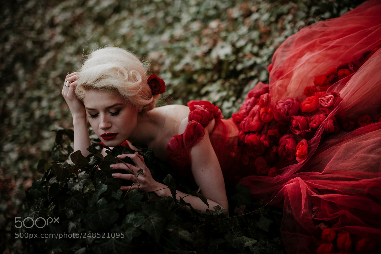 Nikon D610 sample photo. Red beauty photography