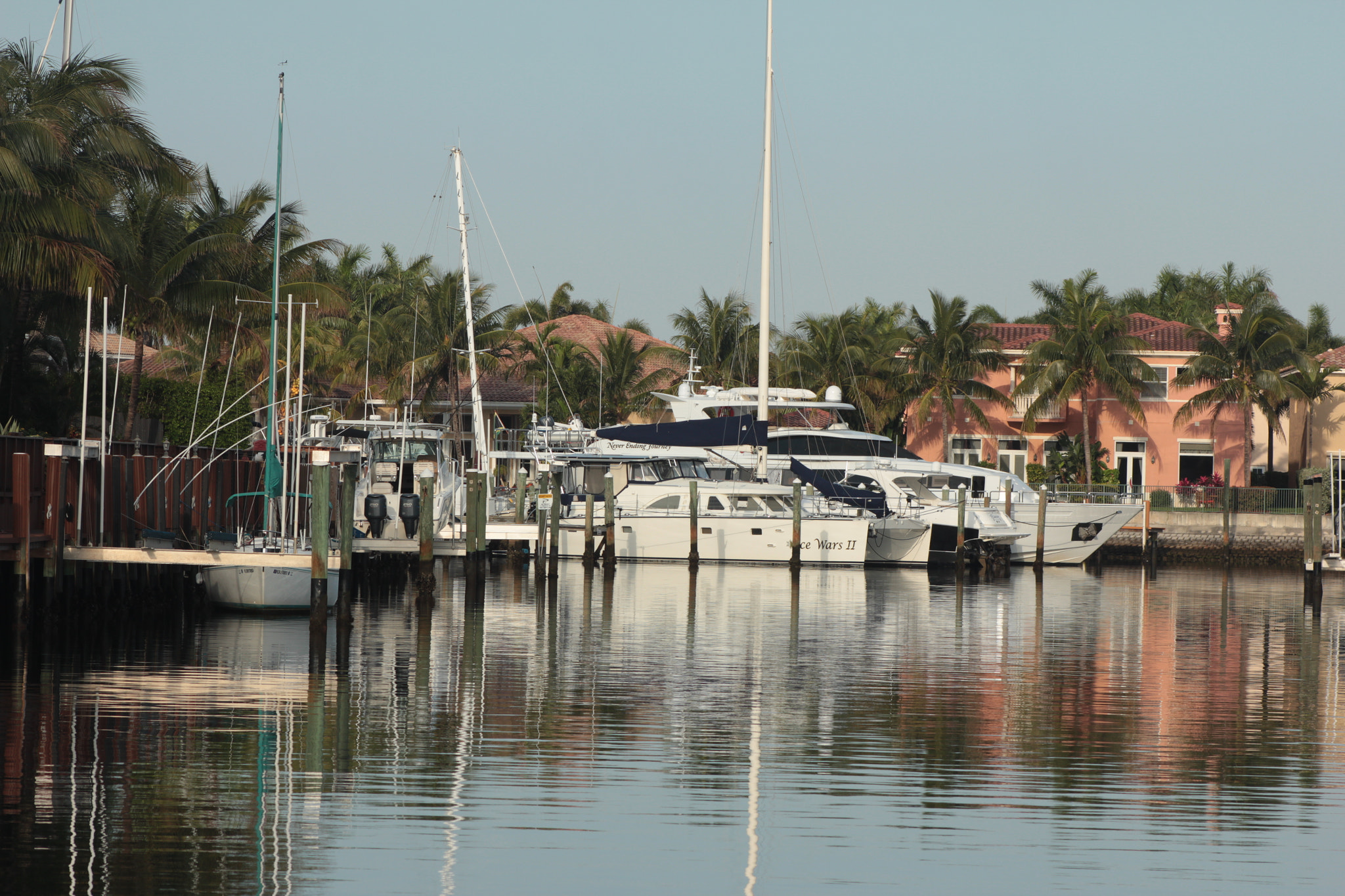 Canon EF 75-300mm f/4-5.6 sample photo. Img photography