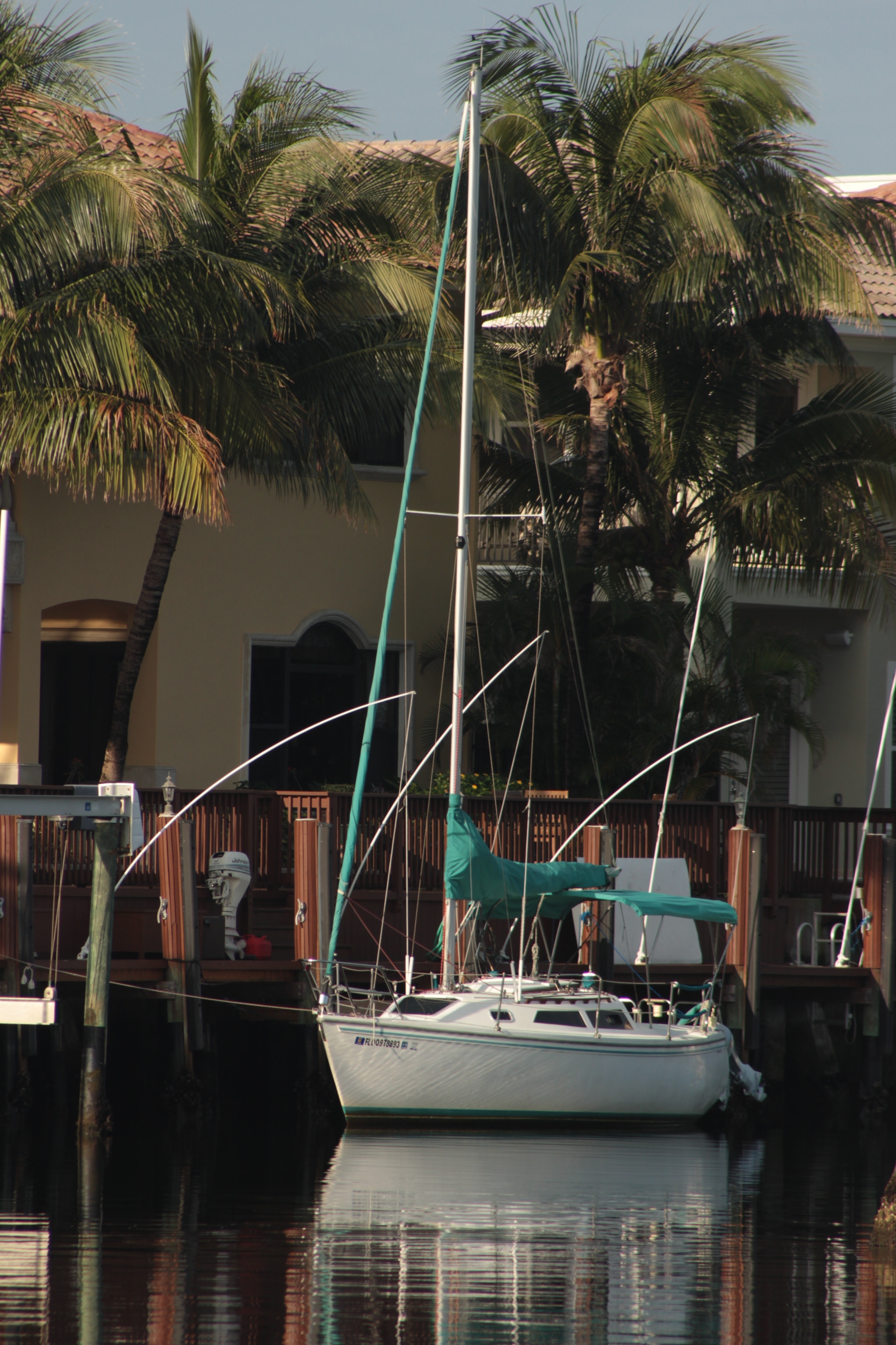 Canon EF 75-300mm f/4-5.6 sample photo. Img photography