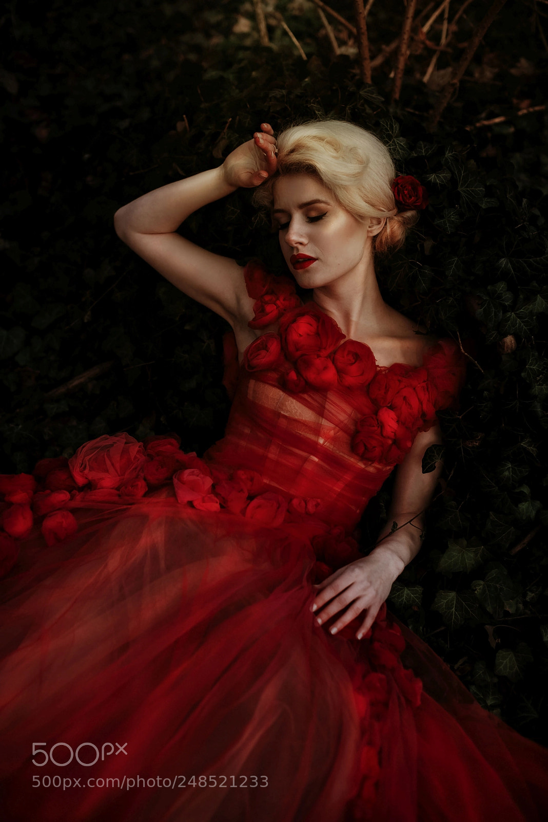 Nikon D610 sample photo. Red beauty photography