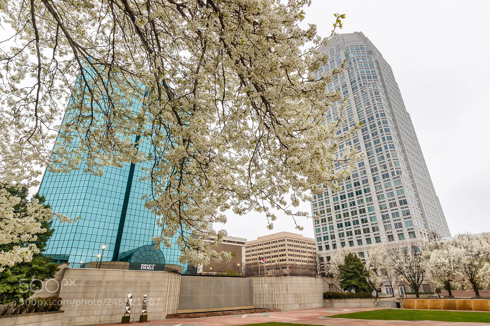Canon EOS 7D Mark II sample photo. Corpening plaza photography