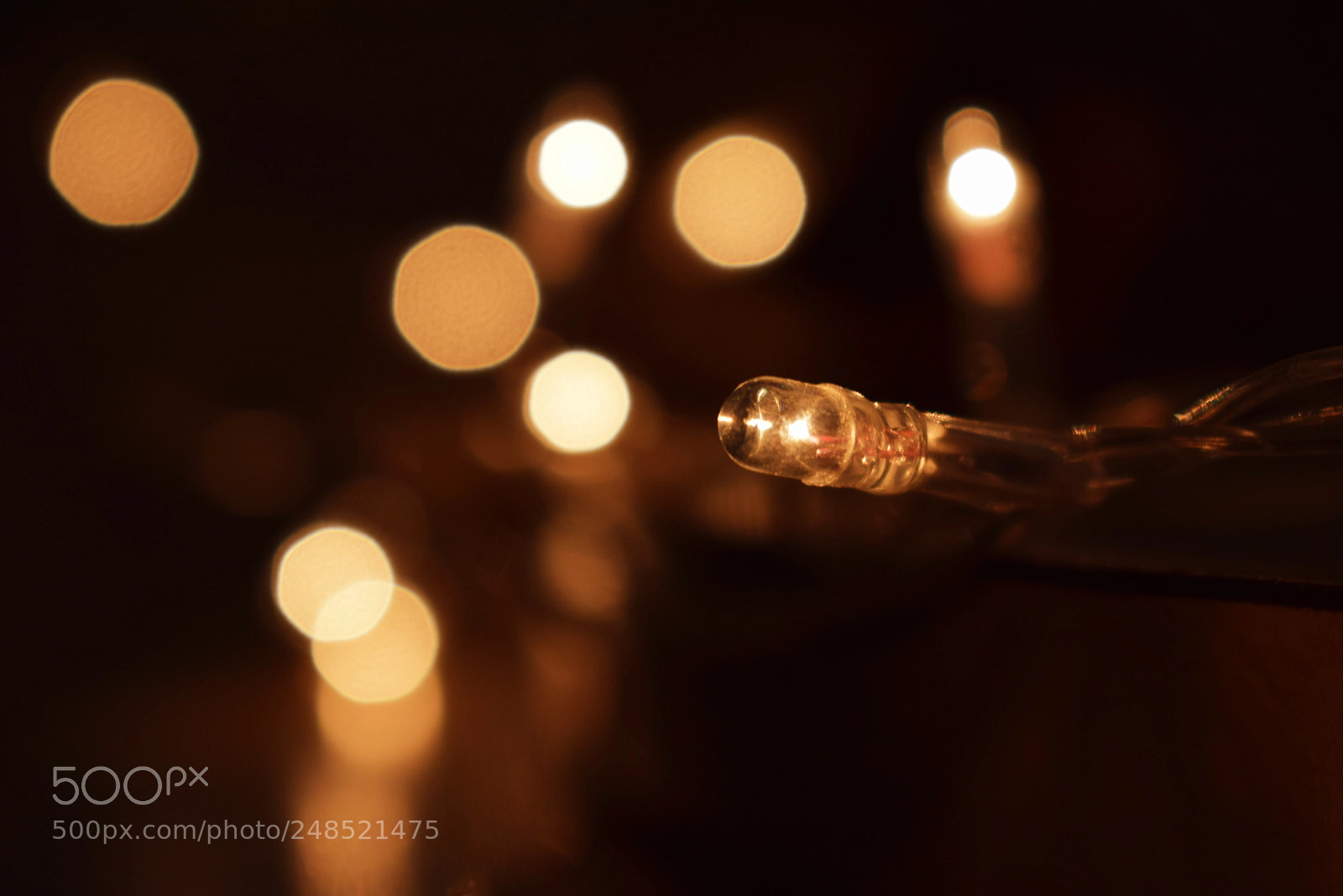 Nikon D5300 sample photo. Bokeh! photography