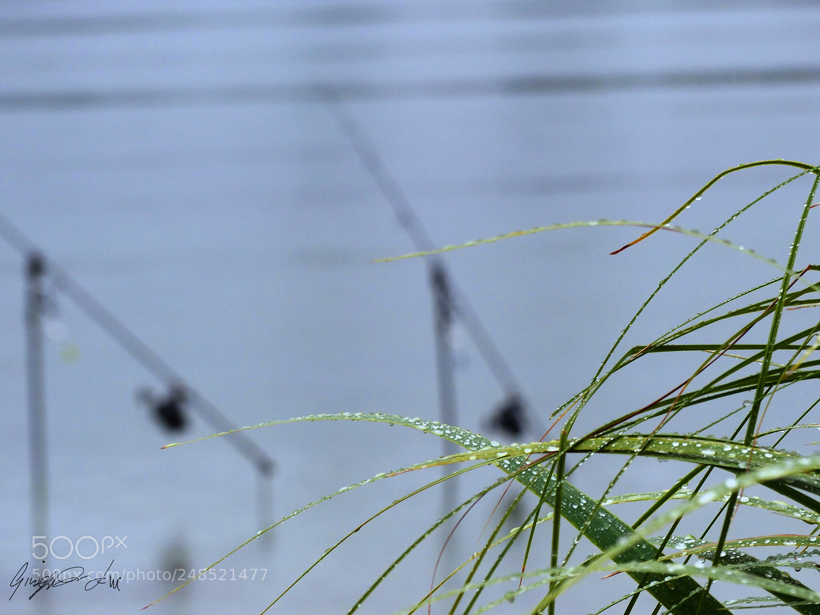 Panasonic Lumix DMC-FZ200 sample photo. Untitled photography
