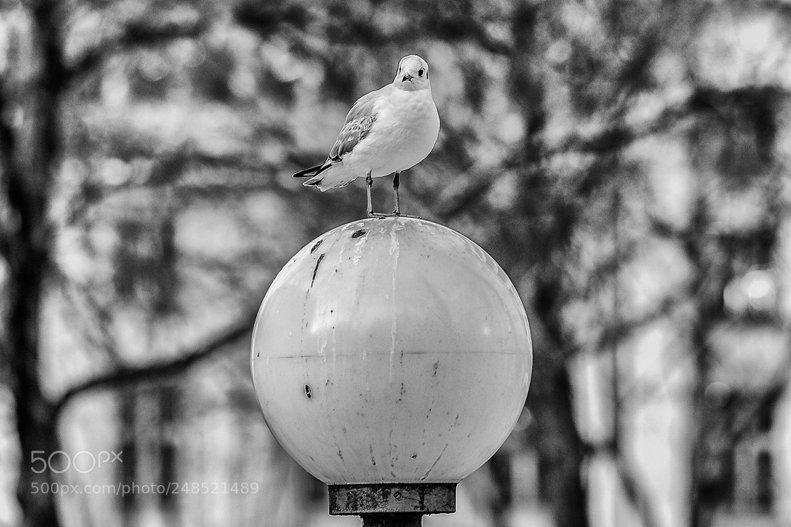 Fujifilm X-Pro2 sample photo. Hamburg my love photography