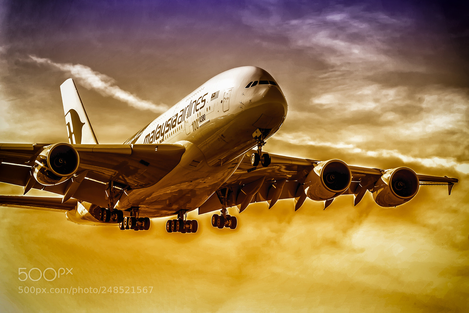 Nikon D800 sample photo. Big birdy a380 photography