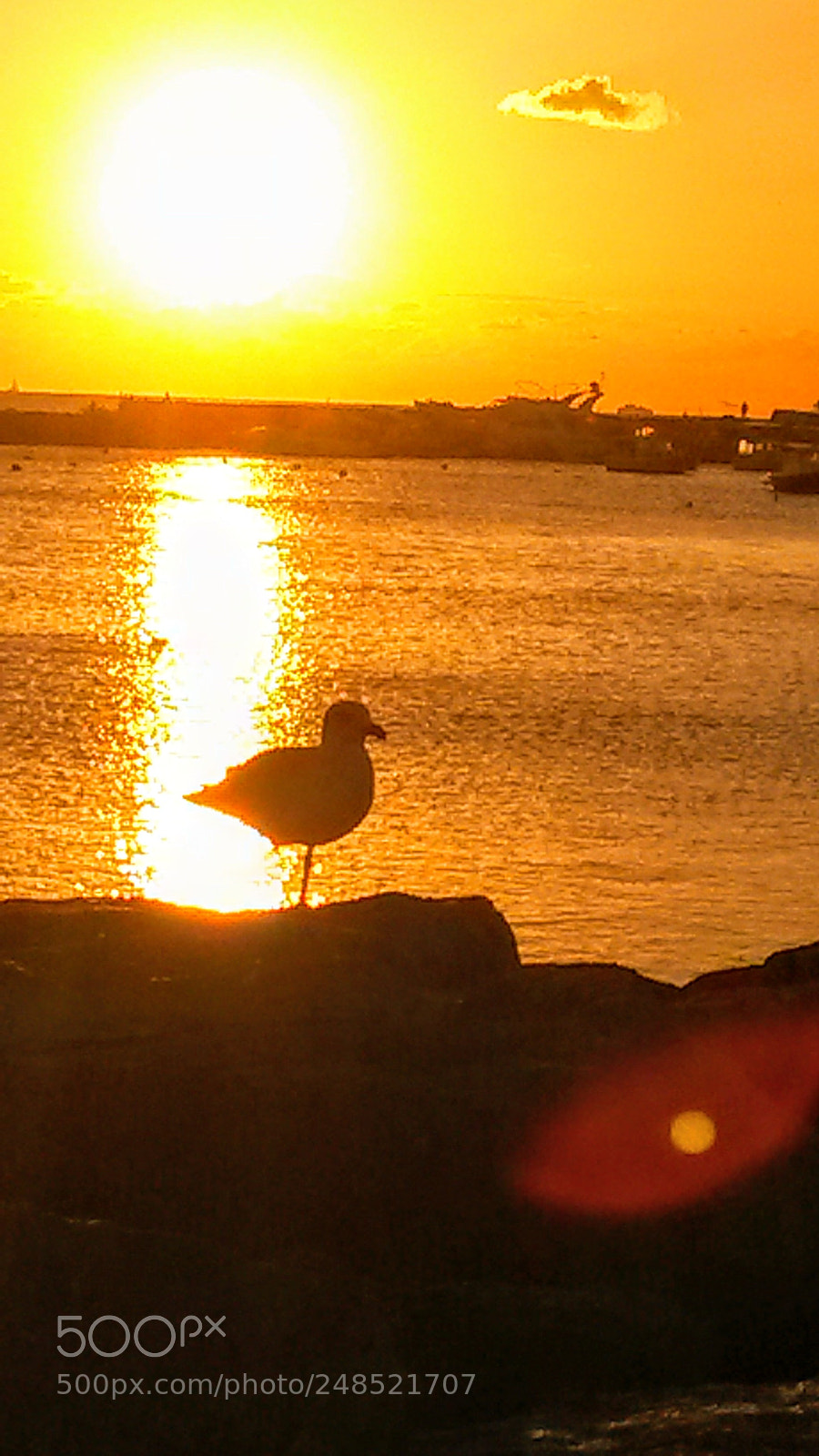 Samsung Galaxy S4 Mini sample photo. Untitled photography