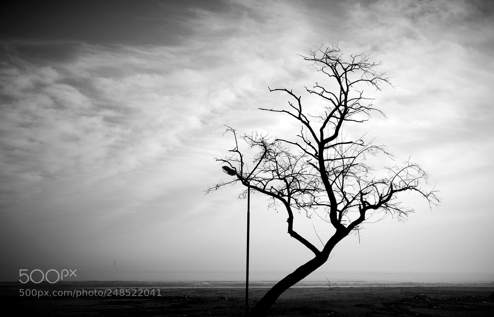 Nikon D90 sample photo. B/w composition photography