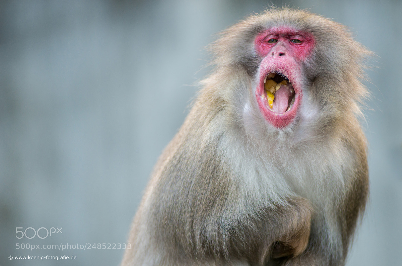 Nikon D800 sample photo. Eat photography
