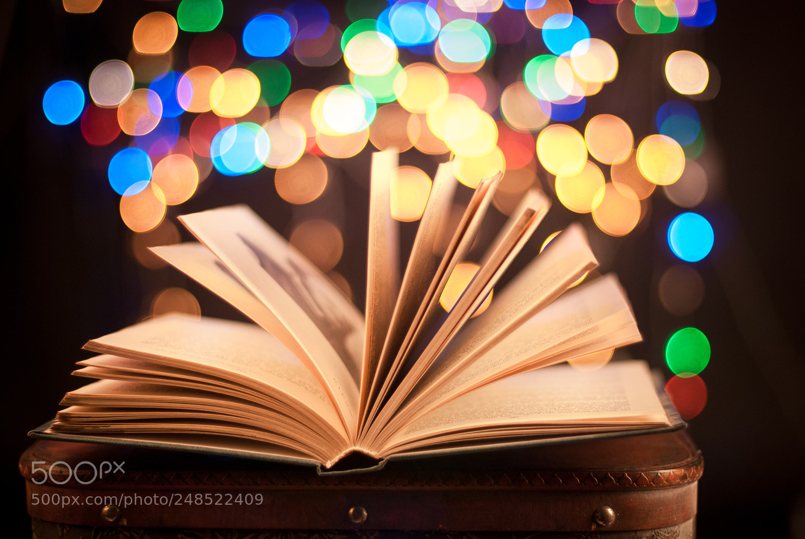 Nikon D80 sample photo. The book photography