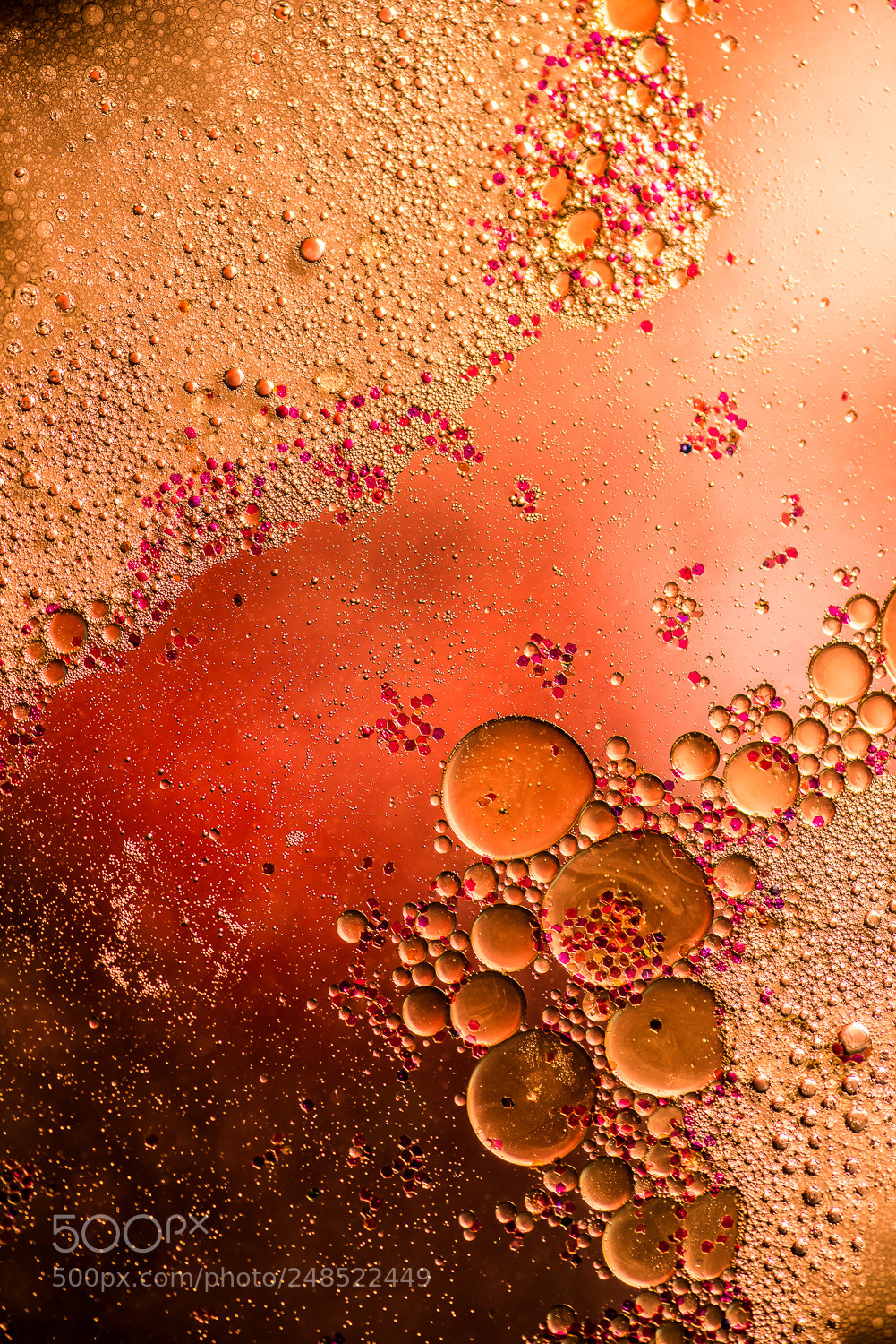 Nikon D810 sample photo. Oil photography