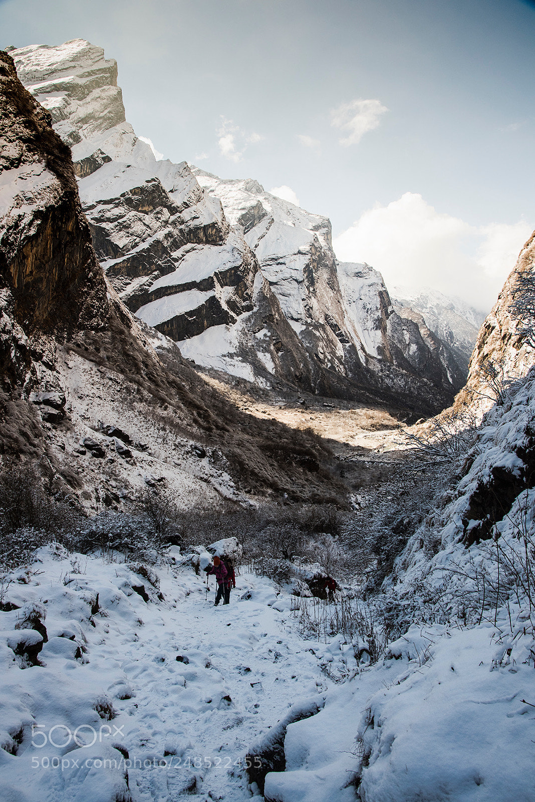 Nikon D810 sample photo. Abc trekking in nepal. photography