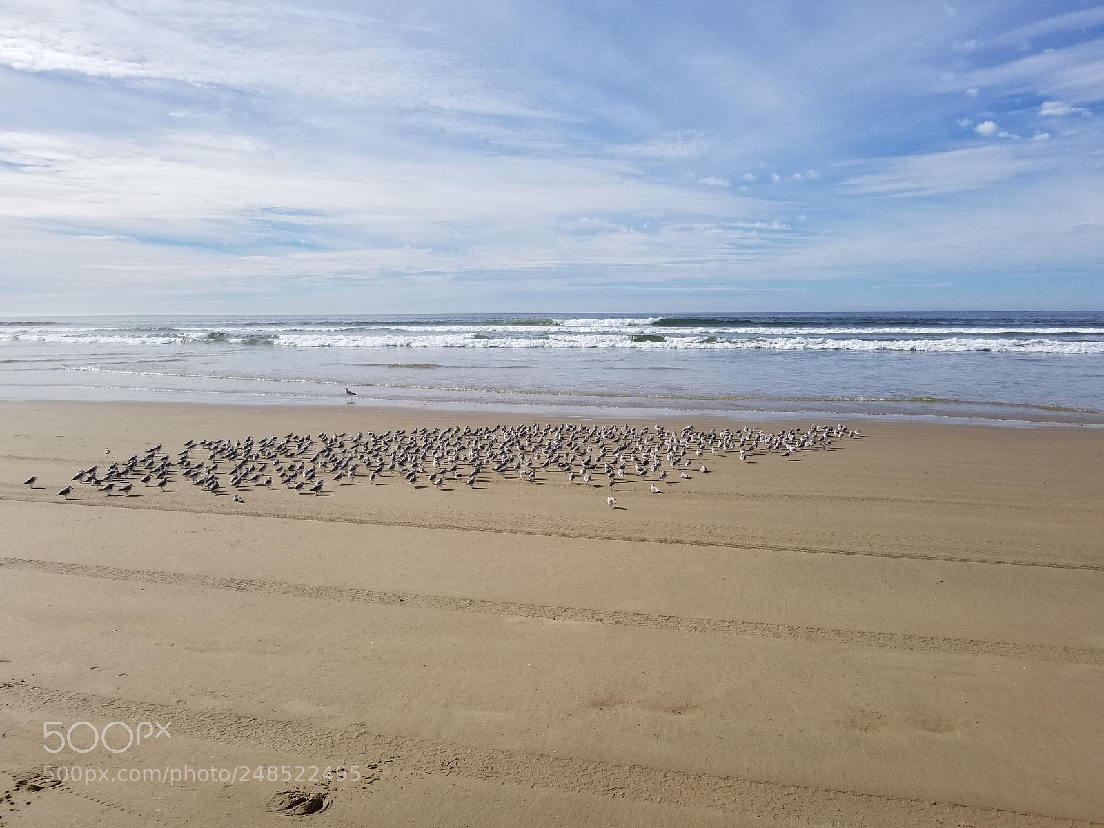 Samsung Galaxy S8+ sample photo. 20180102_121134.jpg photography