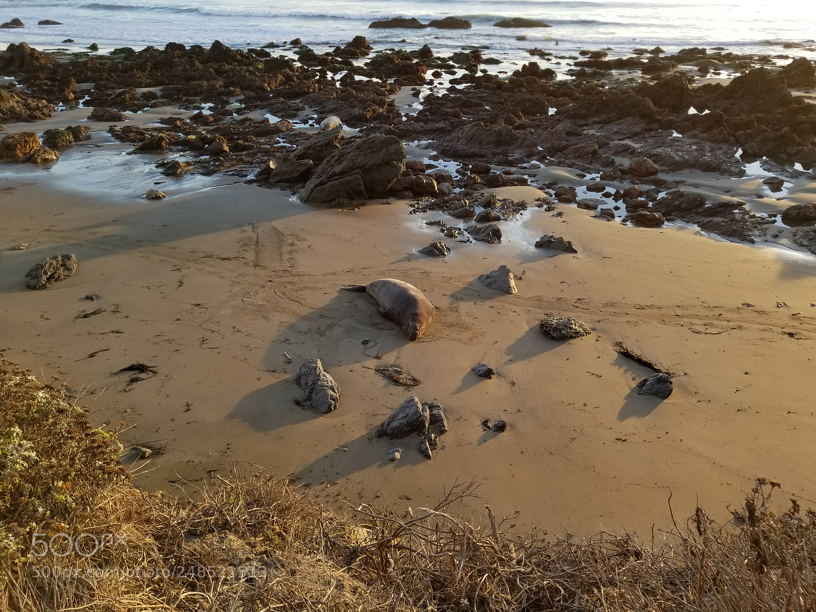 Samsung Galaxy S8+ sample photo. 20180102_164052.jpg photography
