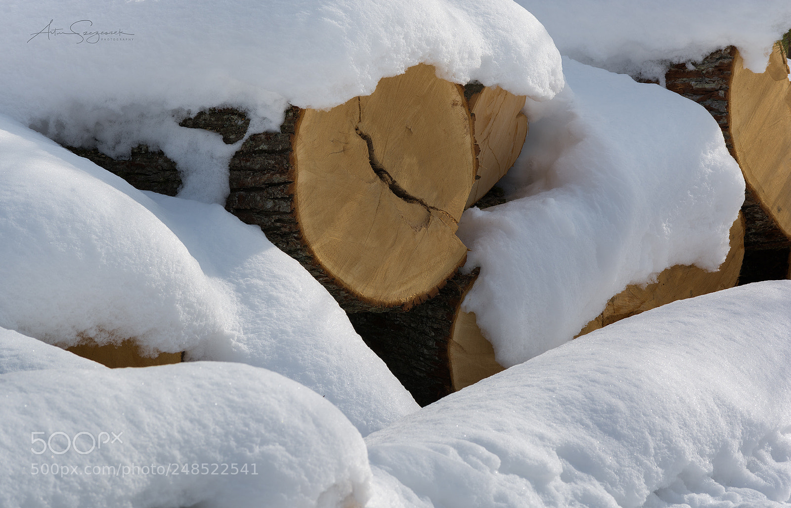 Nikon D7100 sample photo. Hidden logs - winter 2018 photography