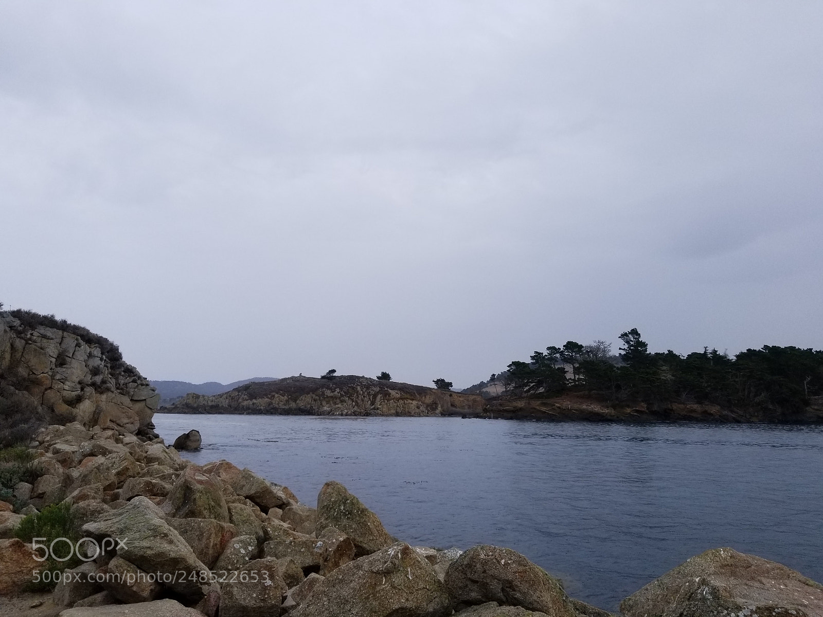 Samsung Galaxy S8+ sample photo. 20180103_122209.jpg photography