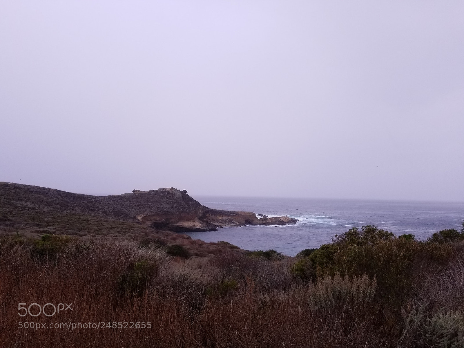 Samsung Galaxy S8+ sample photo. 20180103_123506.jpg photography