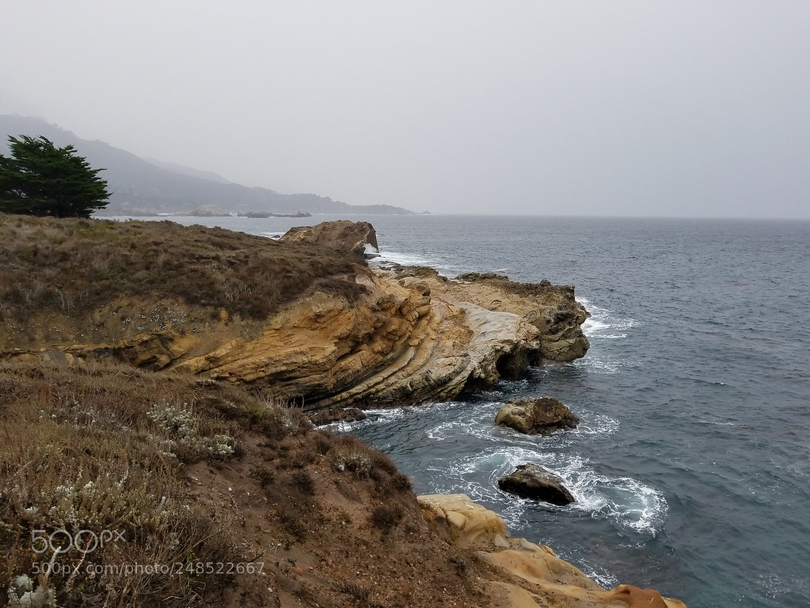Samsung Galaxy S8+ sample photo. 20180103_124641.jpg photography