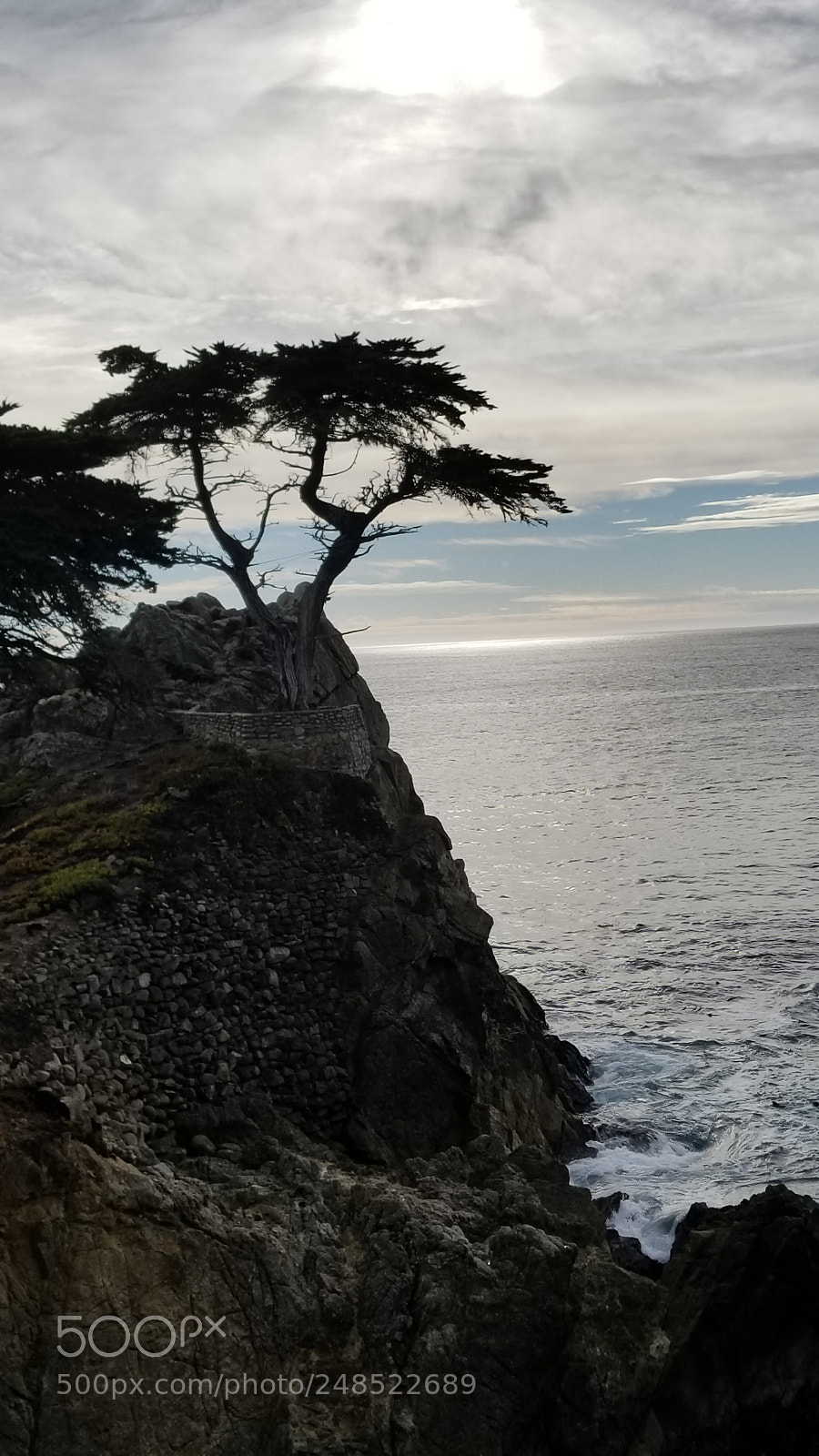 Samsung Galaxy S8+ sample photo. 20180103_142511.jpg photography
