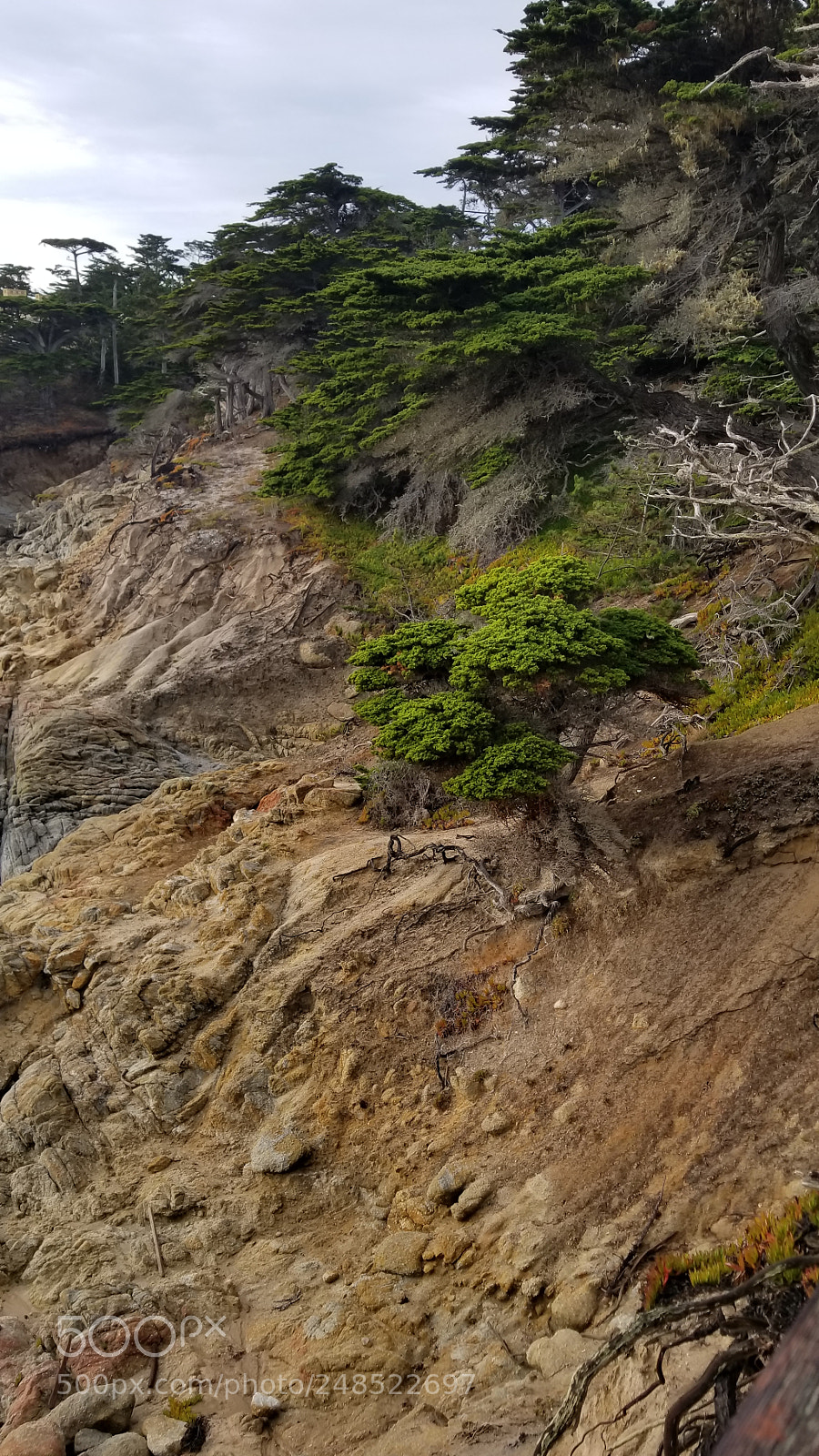 Samsung Galaxy S8+ sample photo. 20180103_142717.jpg photography
