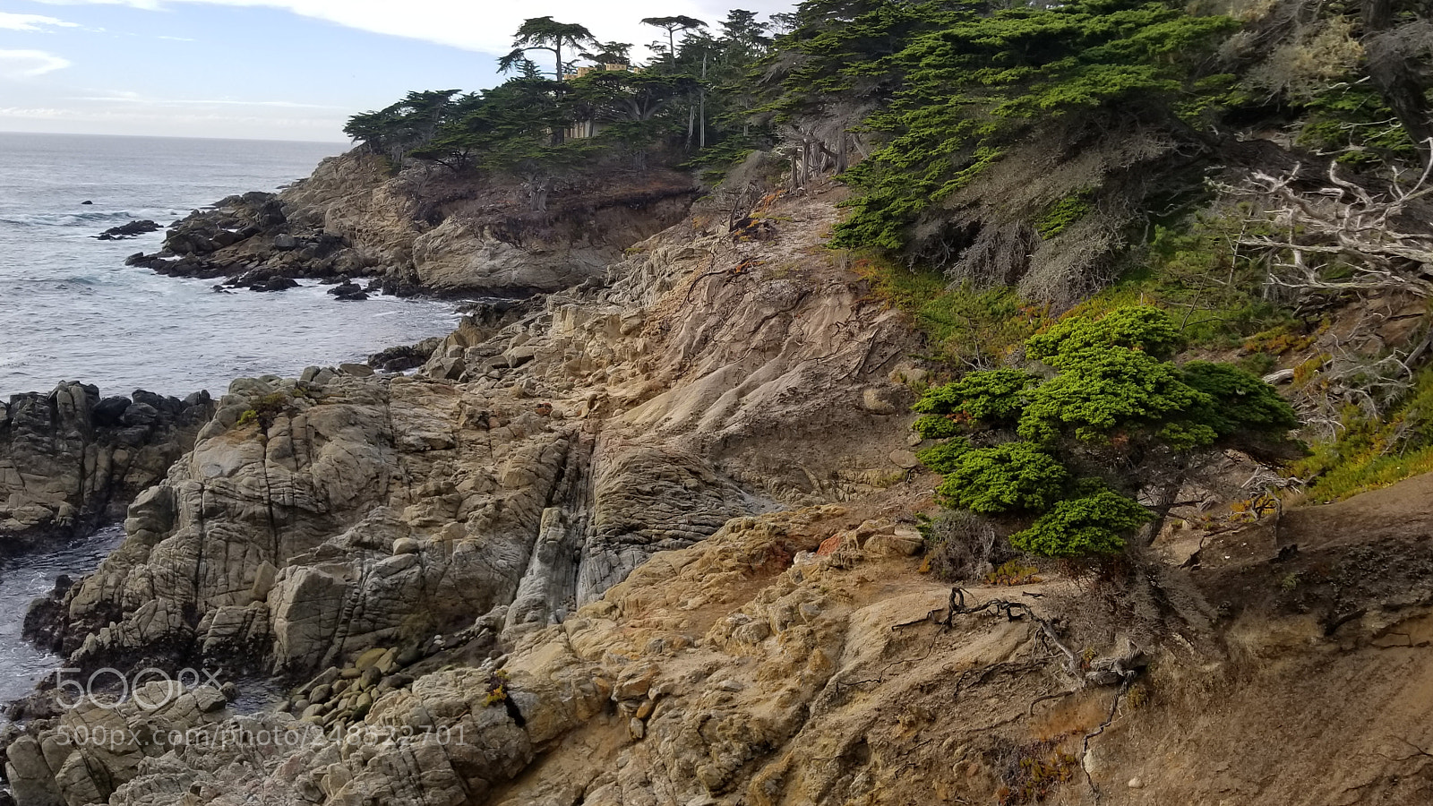 Samsung Galaxy S8+ sample photo. 20180103_142722.jpg photography