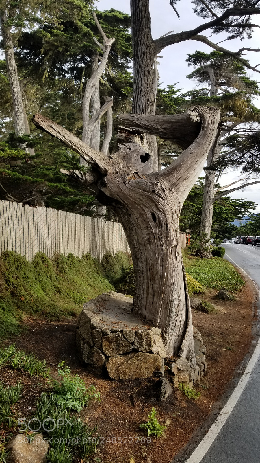 Samsung Galaxy S8+ sample photo. 20180103_145013.jpg photography