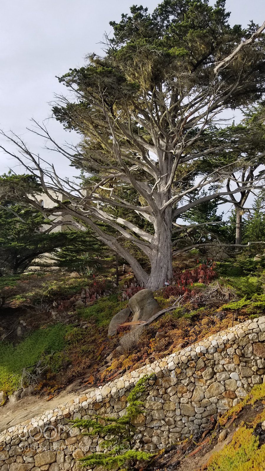 Samsung Galaxy S8+ sample photo. 20180103_145225.jpg photography