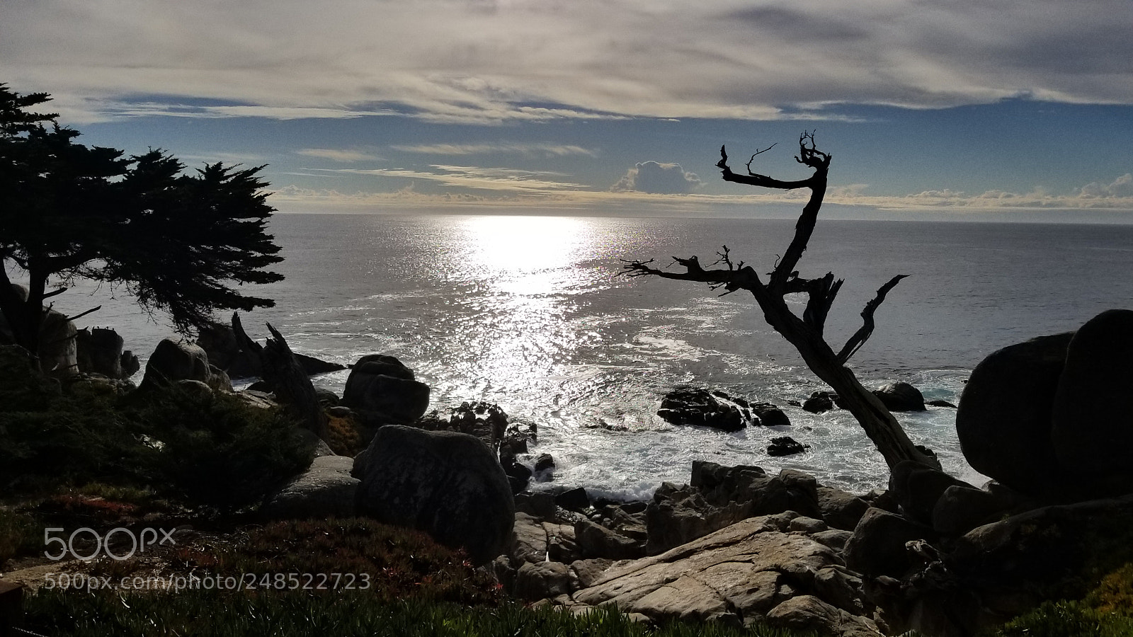Samsung Galaxy S8+ sample photo. 20180103_145604.jpg photography