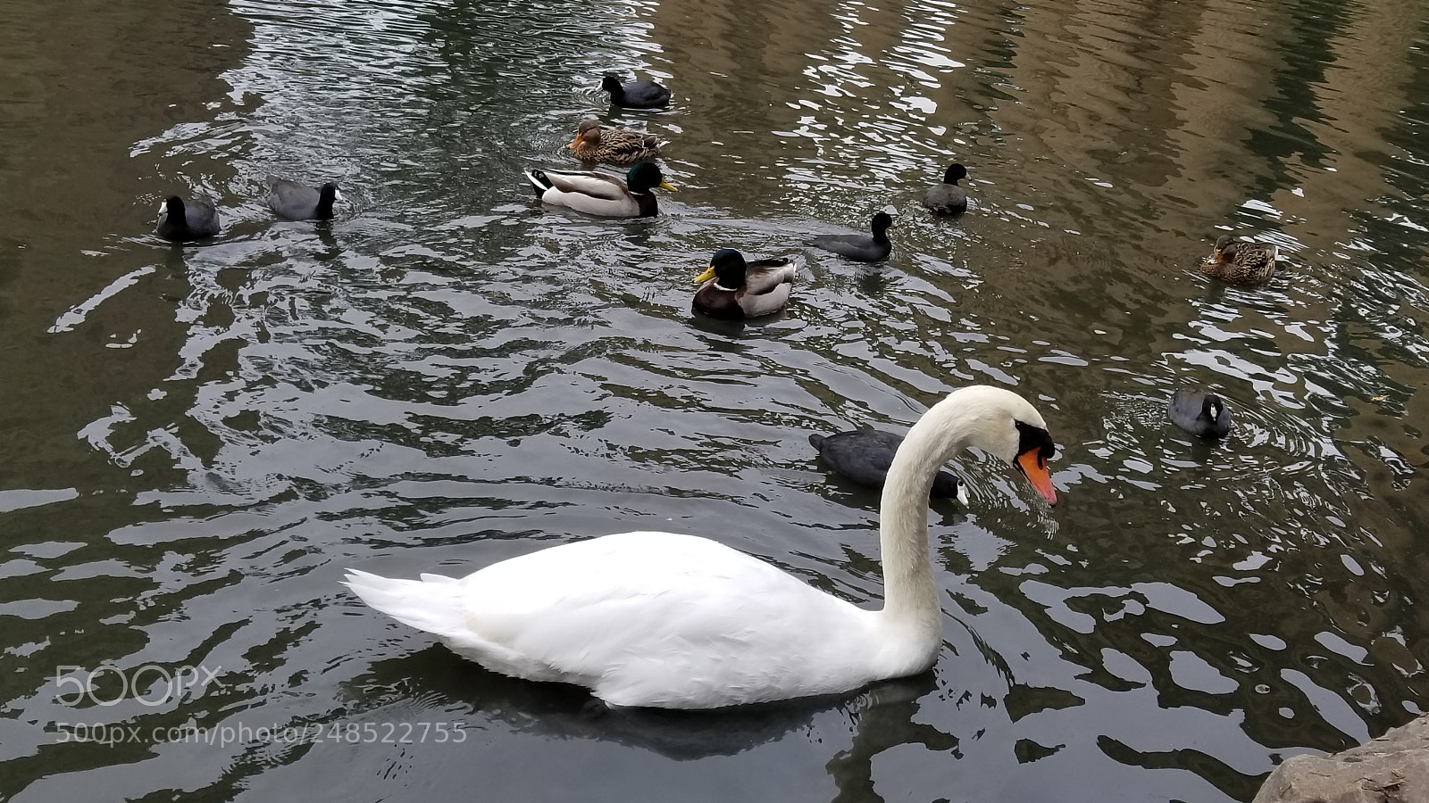 Samsung Galaxy S8+ sample photo. 20180104_121922.jpg photography