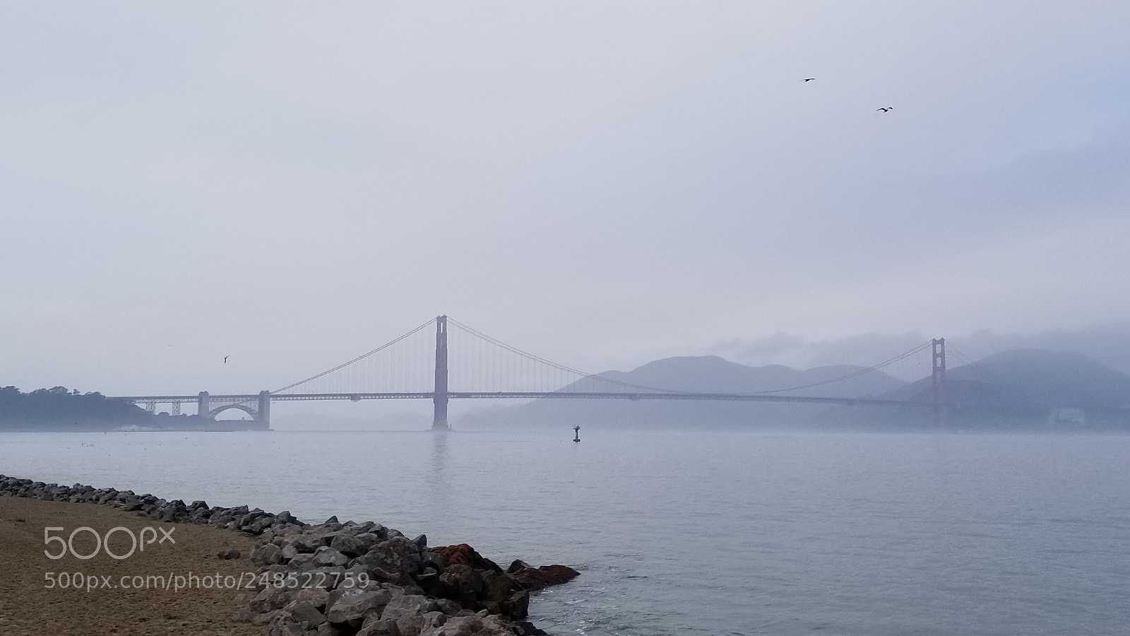 Samsung Galaxy S8+ sample photo. 20180104_124028.jpg photography
