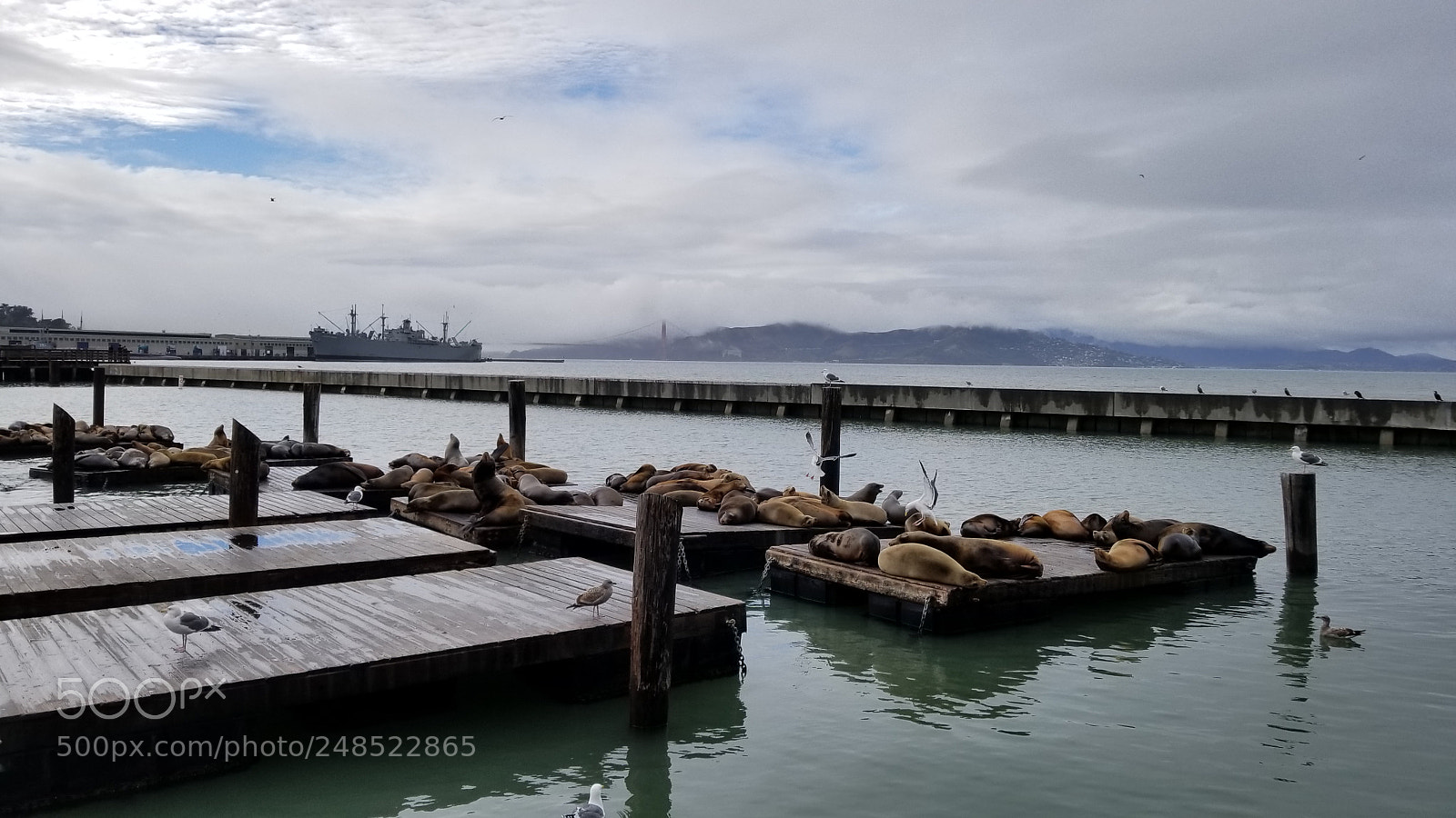 Samsung Galaxy S8+ sample photo. 20180105_144018.jpg photography