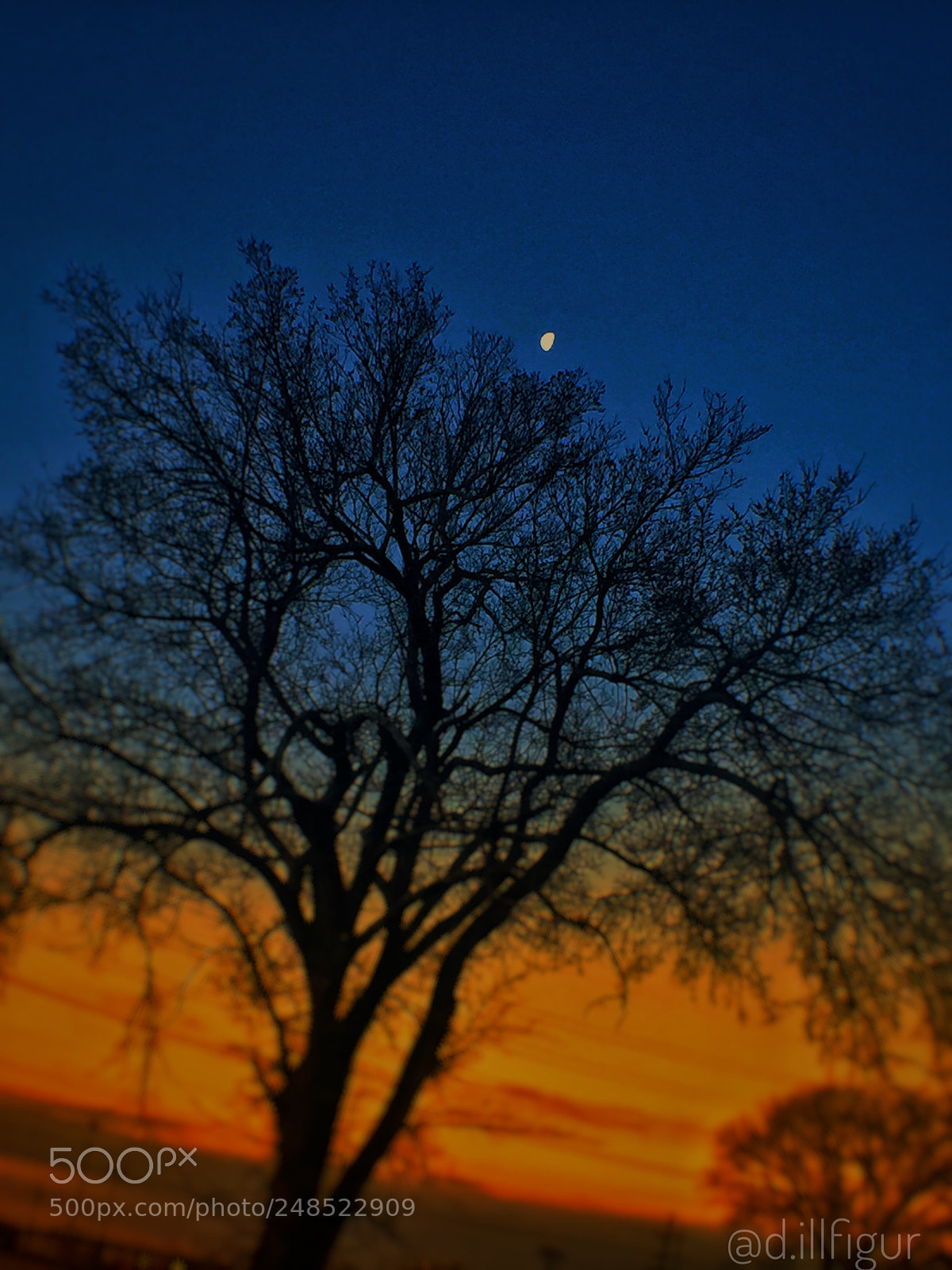 Apple iPhone 6 sample photo. The sky...a beautiful sight photography