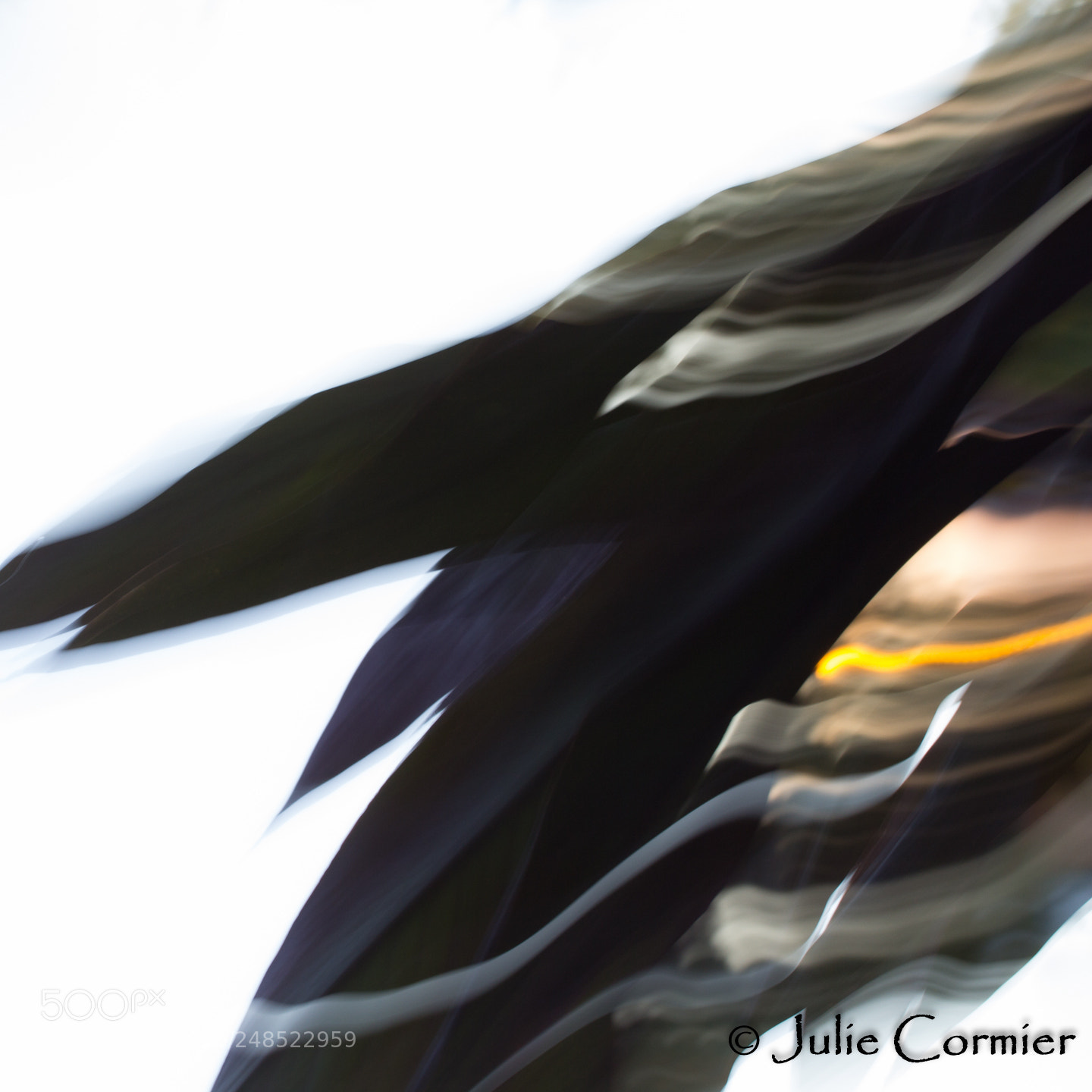 Canon EOS 60D sample photo. Take-off photography