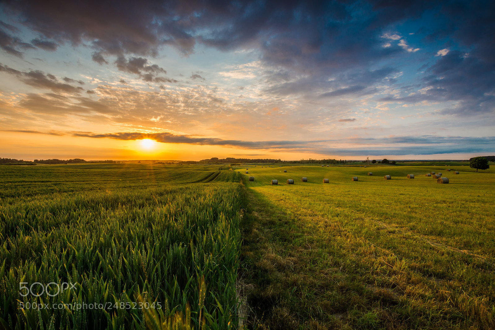 Nikon D7200 sample photo. Polish fields photography