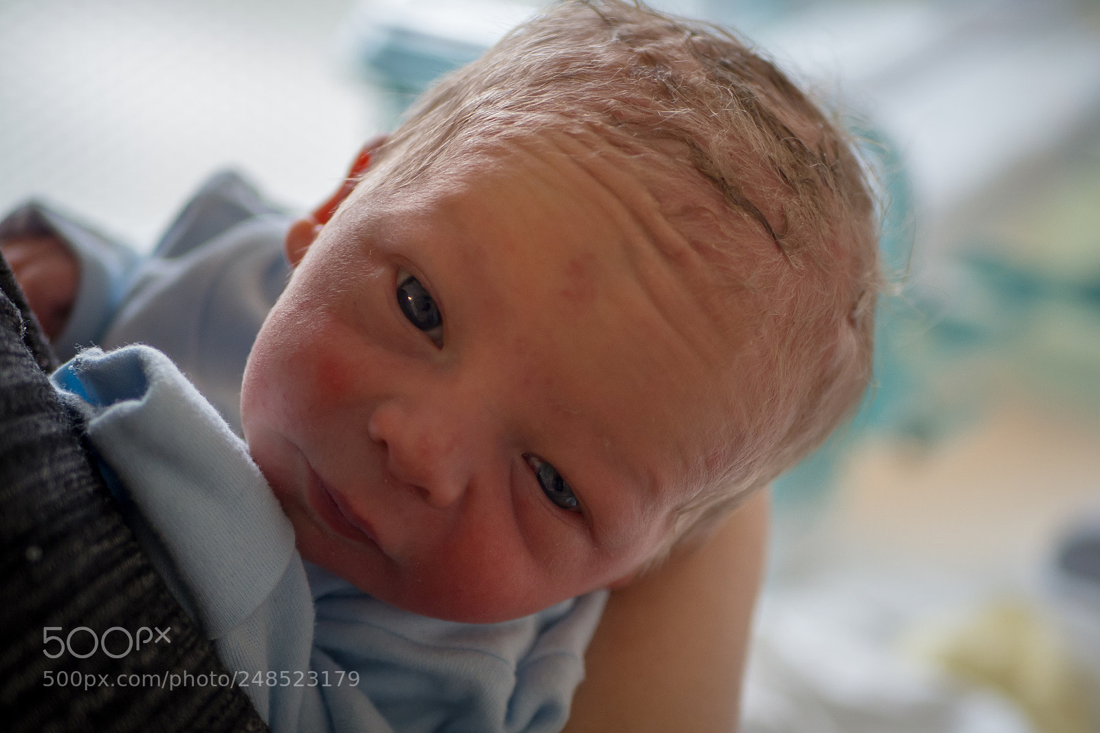 Olympus OM-D E-M10 II sample photo. Little beady eyes photography