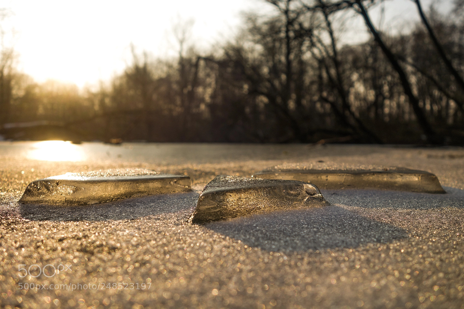 Sony Cyber-shot DSC-RX100 II sample photo. Ice photography